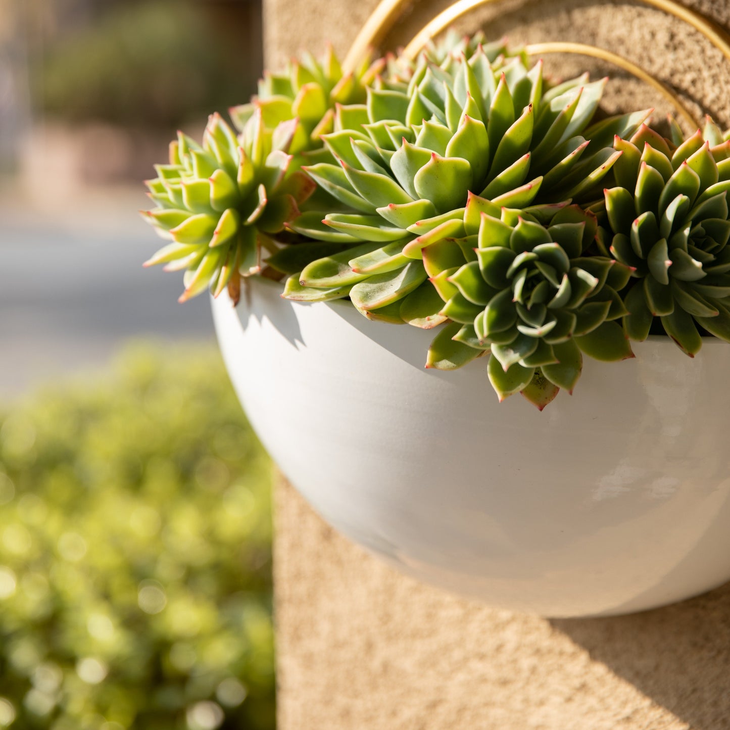 Crescent 3-Piece Metal Wall Planter Set - White with Gold Detail