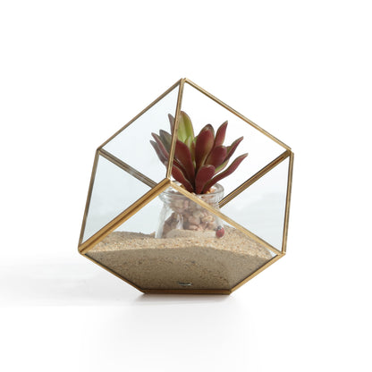 9.5" Cube Brass and Glass Terrarium